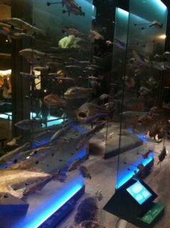 20110311002954.jpg