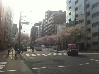 20110411012518.jpg