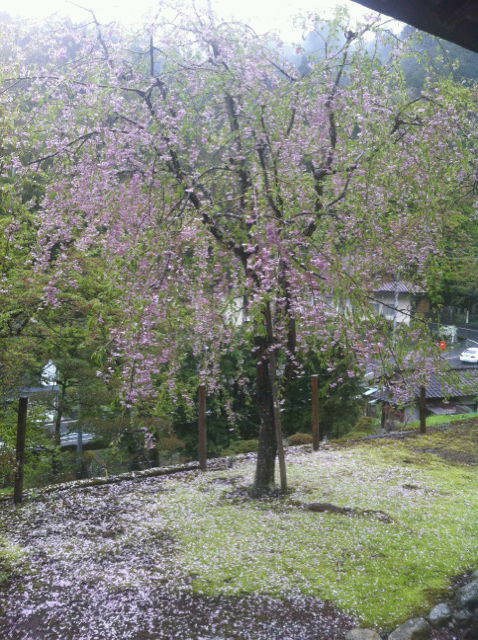 20120430191238.jpg